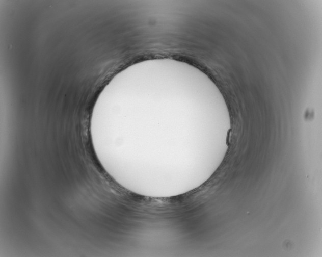 X0000090740768200708101703