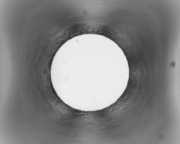 X0000090740769200708101702