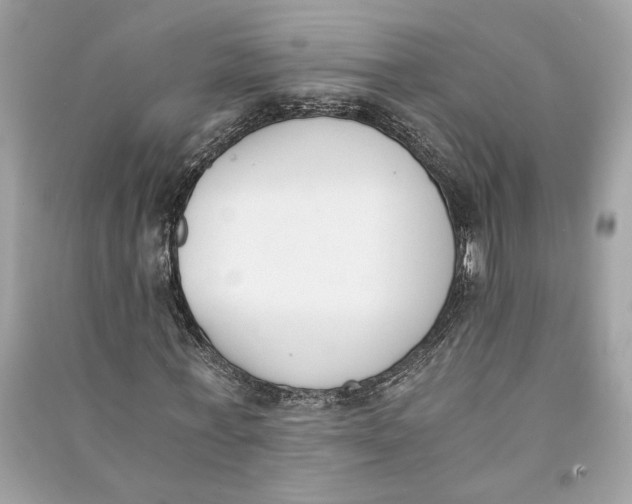 X0000090740771200708101702