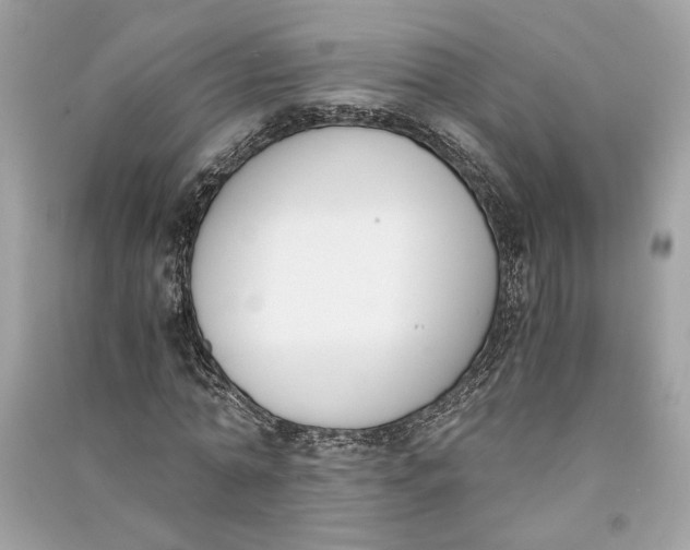 X0000090740774200708101702