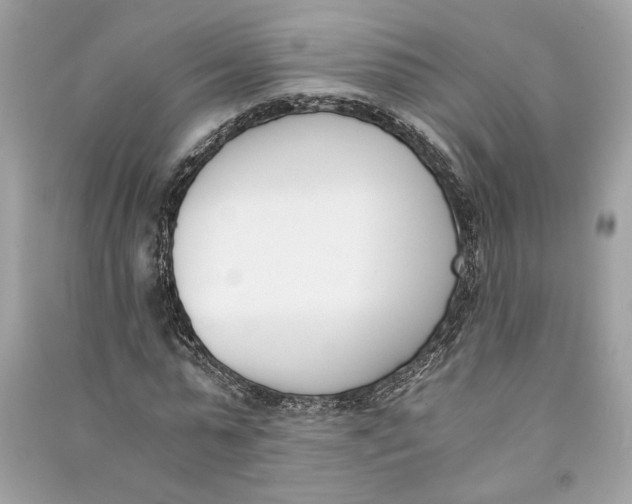 X0000090740775200708101702