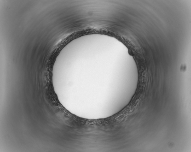 X0000090740776200708101702