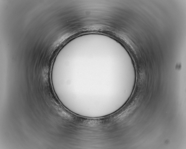 X0000090740778200708101702