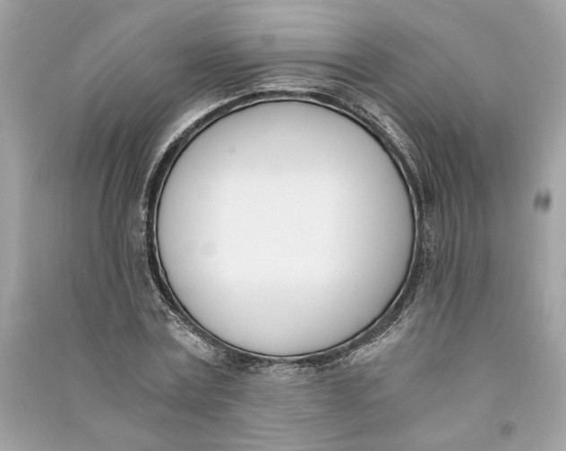 X0000090740779200708101702