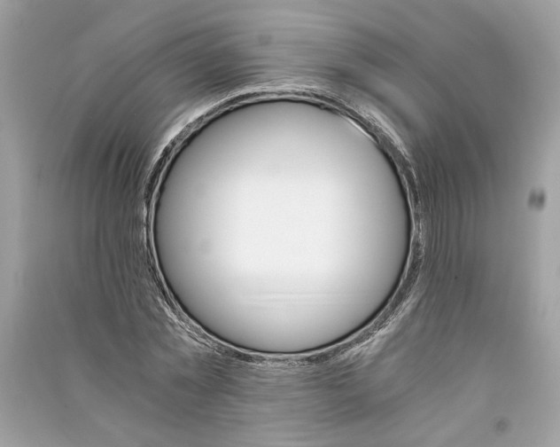 X0000090740781200708101702