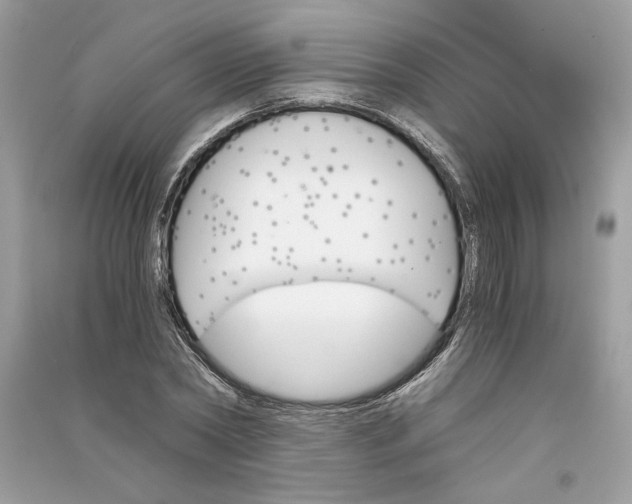 X0000090740782200708101702