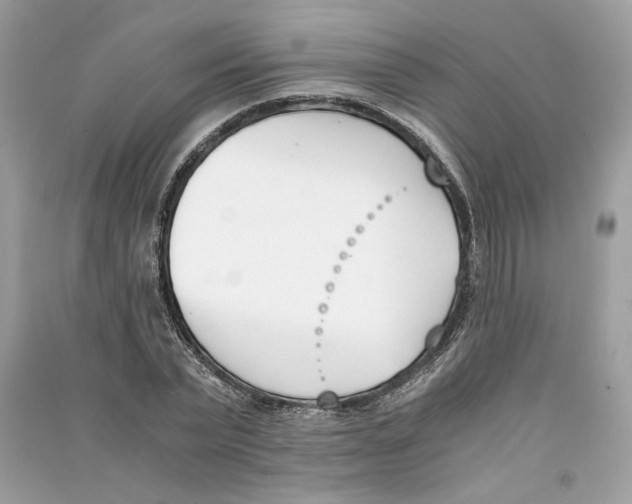 X0000090740783200708101702