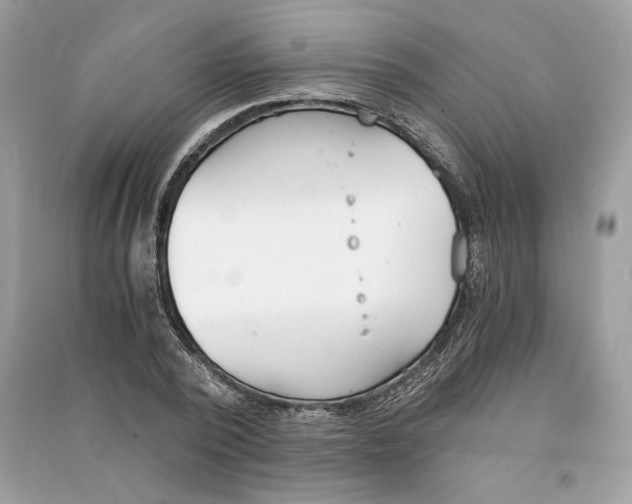 X0000090740784200708101702