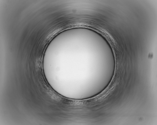 X0000090740785200708101701