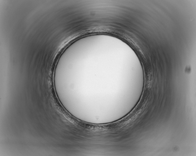 X0000090740786200708101701