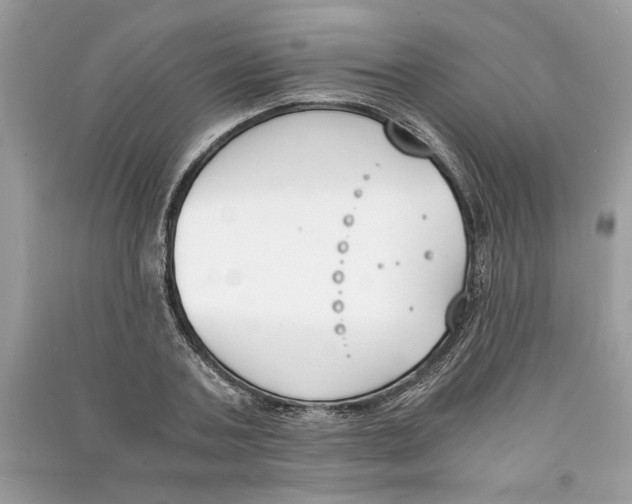 X0000090740787200708101701