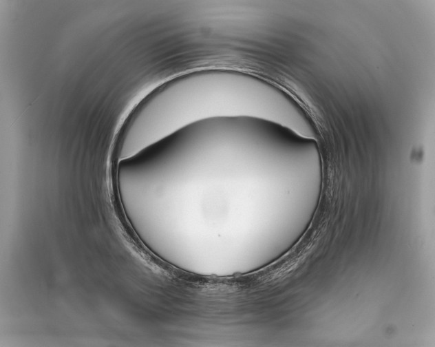 X0000090740788200708101701