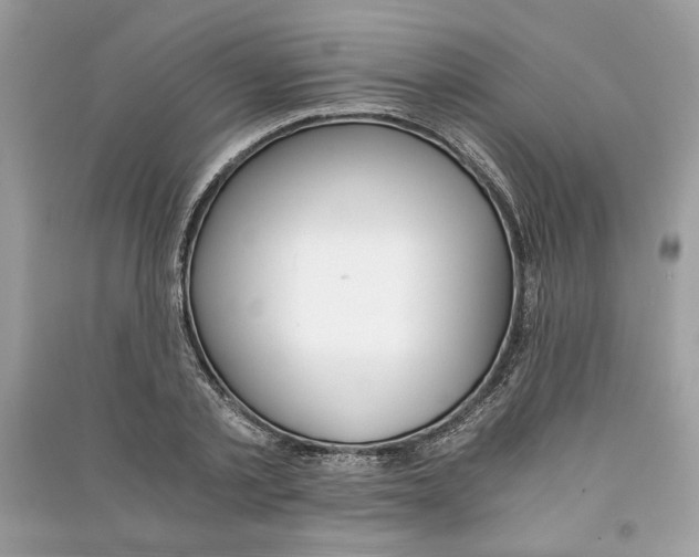 X0000090740789200708101701