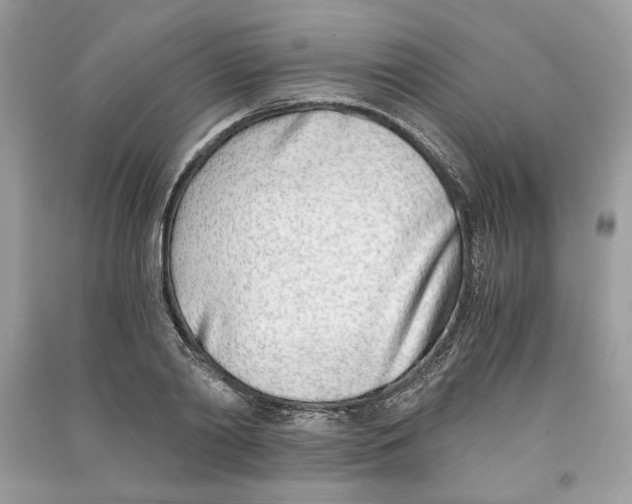 X0000090740790200708101701