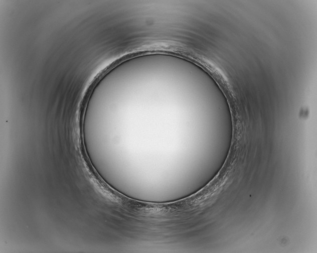 X0000090740792200708101701