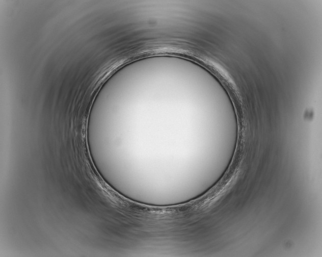 X0000090740793200708101701