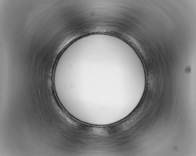 X0000090740794200708101701