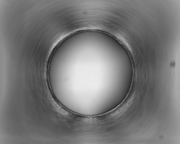 X0000090740797200708101701