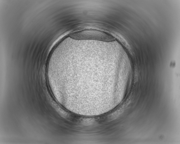 X0000090740798200708101701