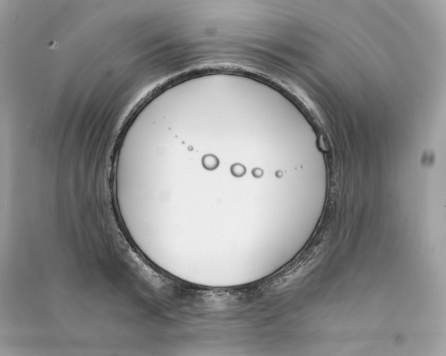 X0000090740799200708101701