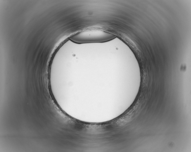 X0000090740800200708101701