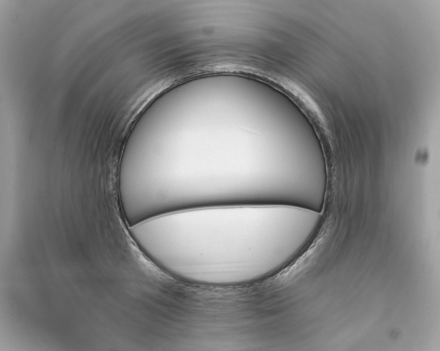 X0000090740801200708101701