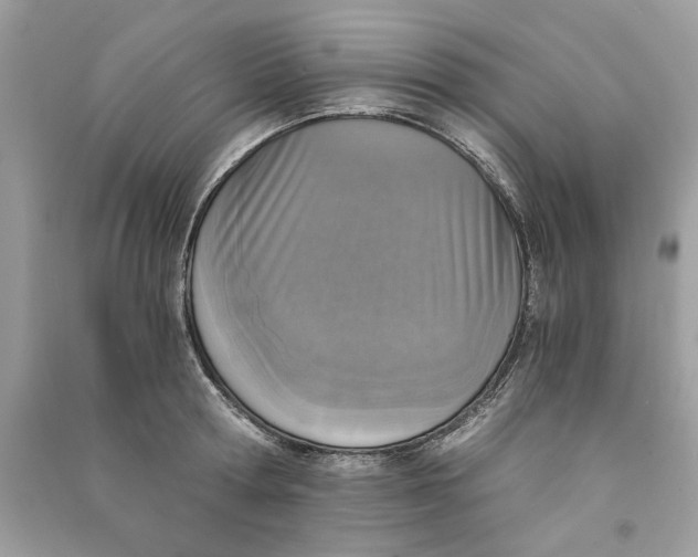 X0000090740802200708101701