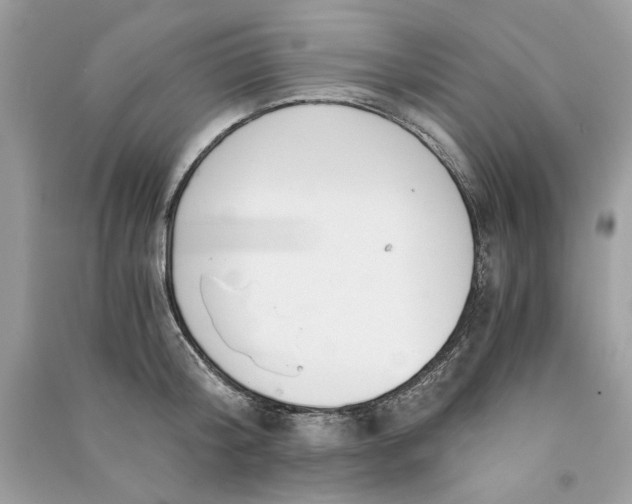 X0000090740804200708101701