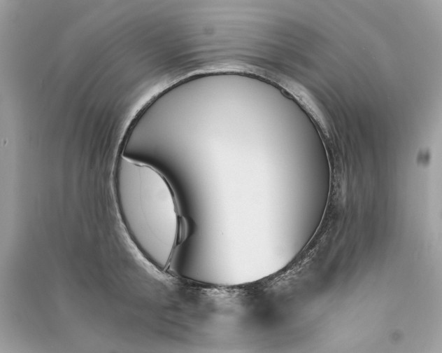 X0000090740805200708101701