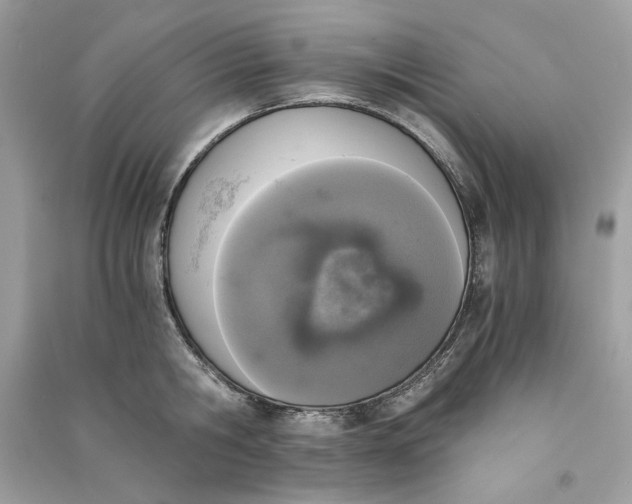 X0000090740806200708101701