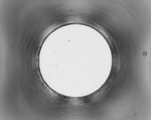 X0000090740807200708101701