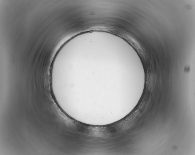 X0000090740808200708101701