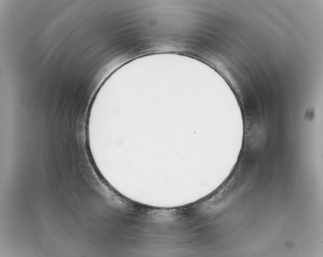 X0000090740810200708101701