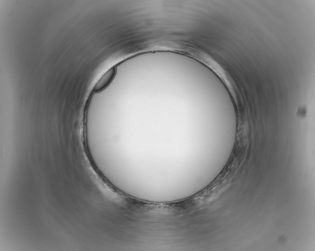 X0000090740811200708101701