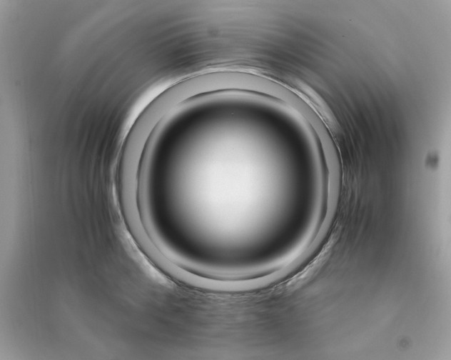 X0000090740812200708101701