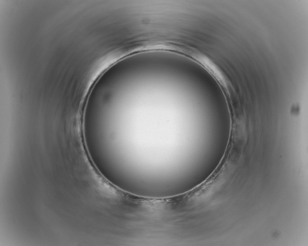 X0000090740813200708101701