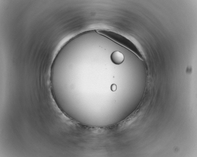 X0000090740815200708101701