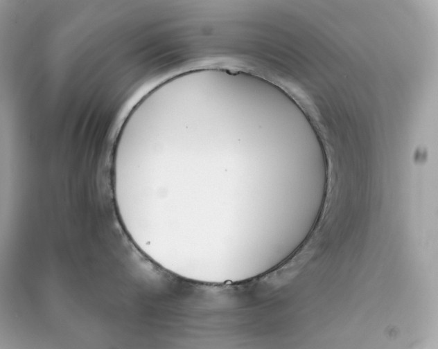 X0000090740816200708101701