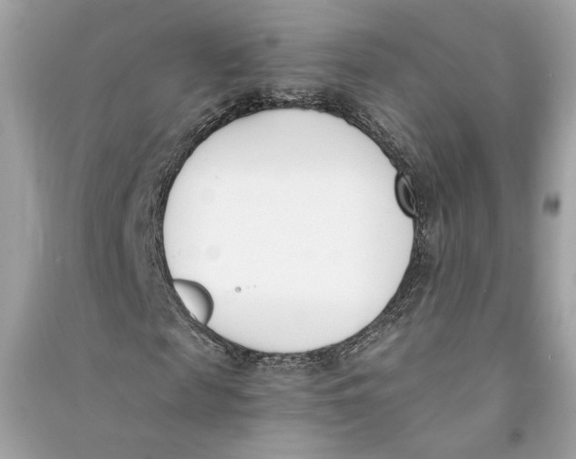 X0000090740817200708101700