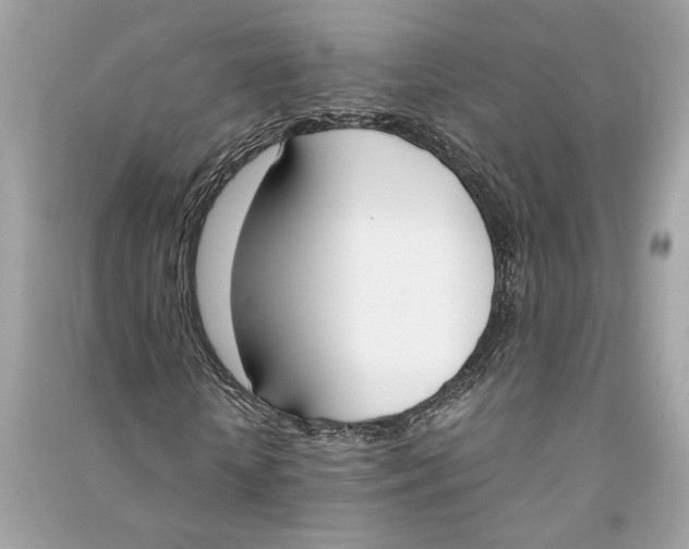 X0000090740818200708101700