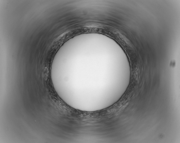 X0000090740821200708101700