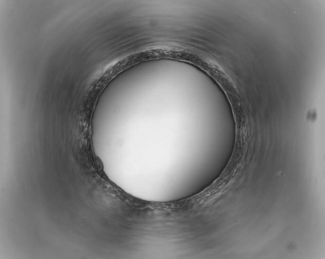 X0000090740822200708101700