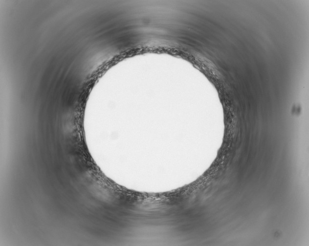 X0000090740824200708101700