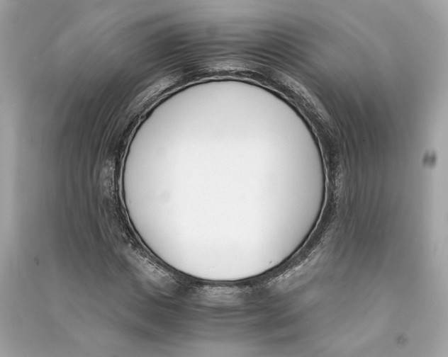 X0000090740825200708101701