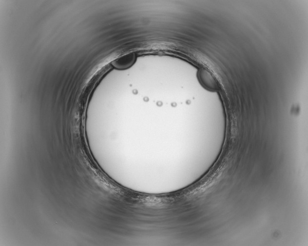 X0000090740827200708101701