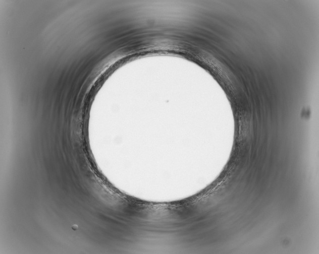 X0000090740828200708101701