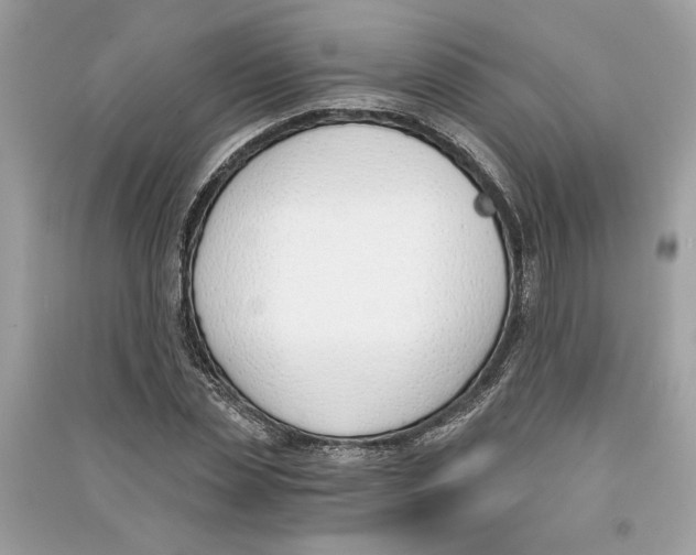 X0000090740829200708101701