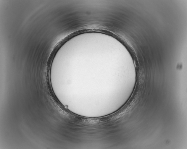 X0000090740831200708101701