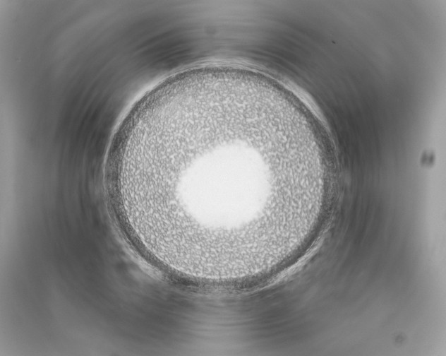 X0000090740832200708101701