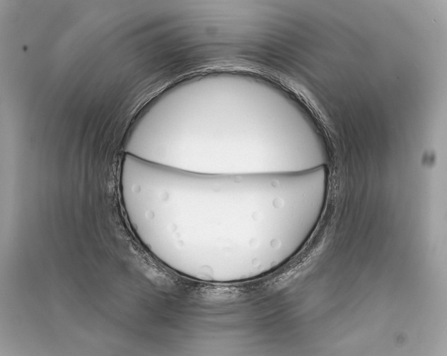 X0000090740833200708101701